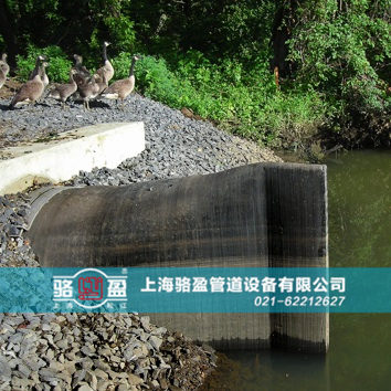 直嘴<a href=http://www.modeljc.com target=_blank class=infotextkey>橡膠止回閥</a>運行現場